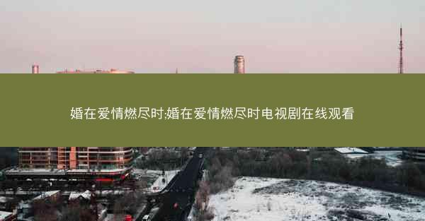 婚在爱情燃尽时;婚在爱情燃尽时电视剧在线观看