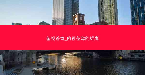 俯视苍穹_俯视苍穹的雄鹰