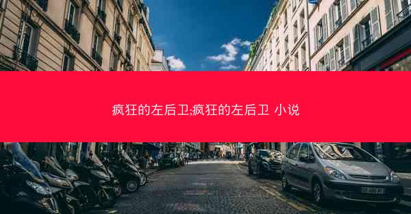 疯狂的左后卫;疯狂的左后卫 小说